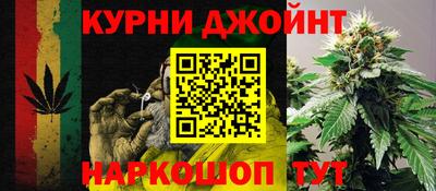 СК Гай