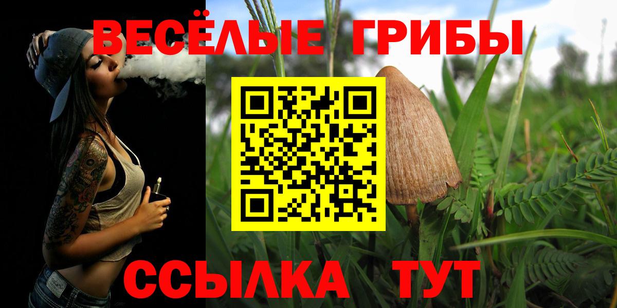 Геленджик  Галлюциногенные грибы MAGIC MUSHROOMS  Галлюциногенные грибы мухоморы  Вход с VPN 