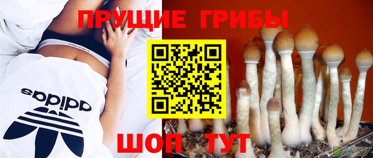 Галлюциногенные грибы ЛСД Геленджик